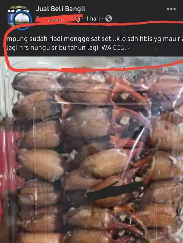 6 Status Facebook Orang Jualan Makanan Ini Kocak, Bikin Netizen Tepuk Jidat