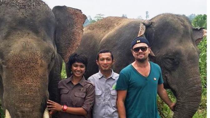 Pose dengan Gajah Sumatera, Ini Misi Leonardo Dicaprio - Health