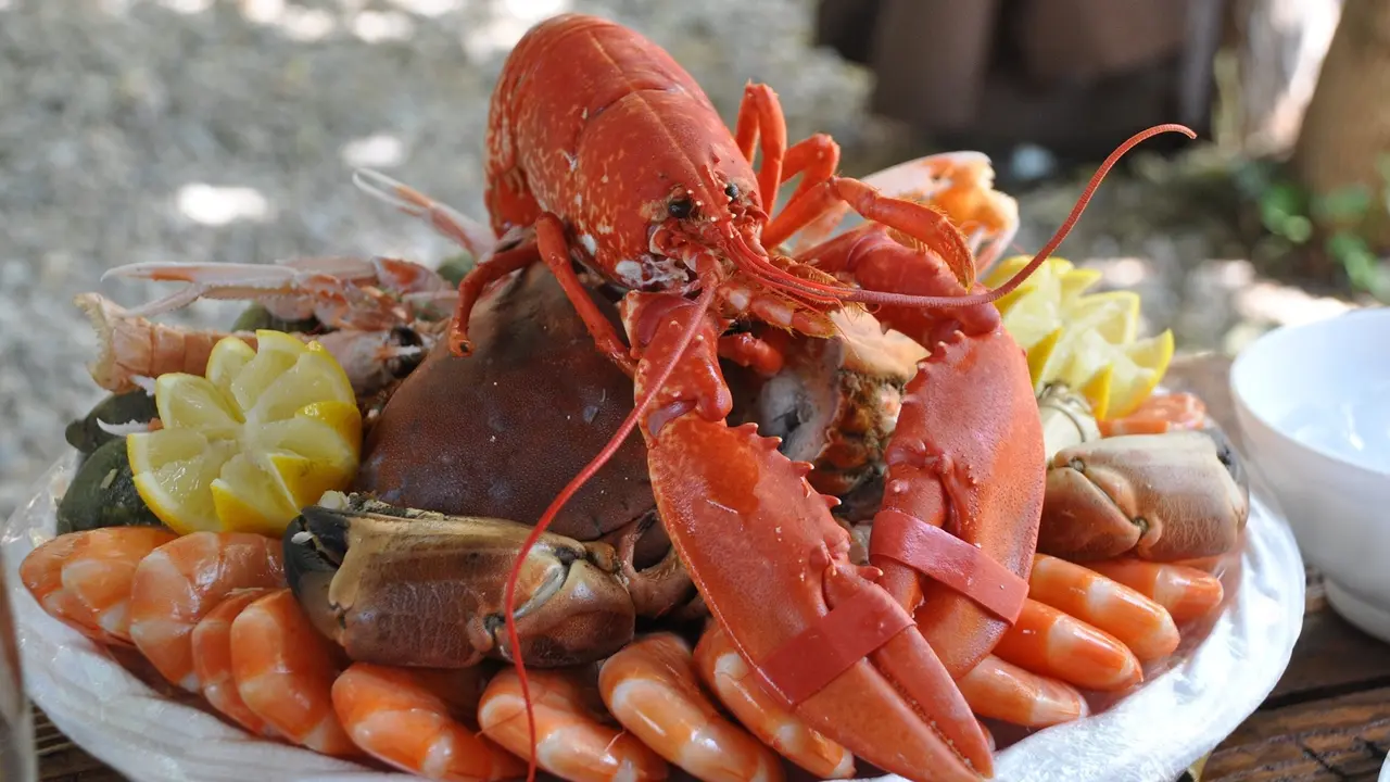 Udang