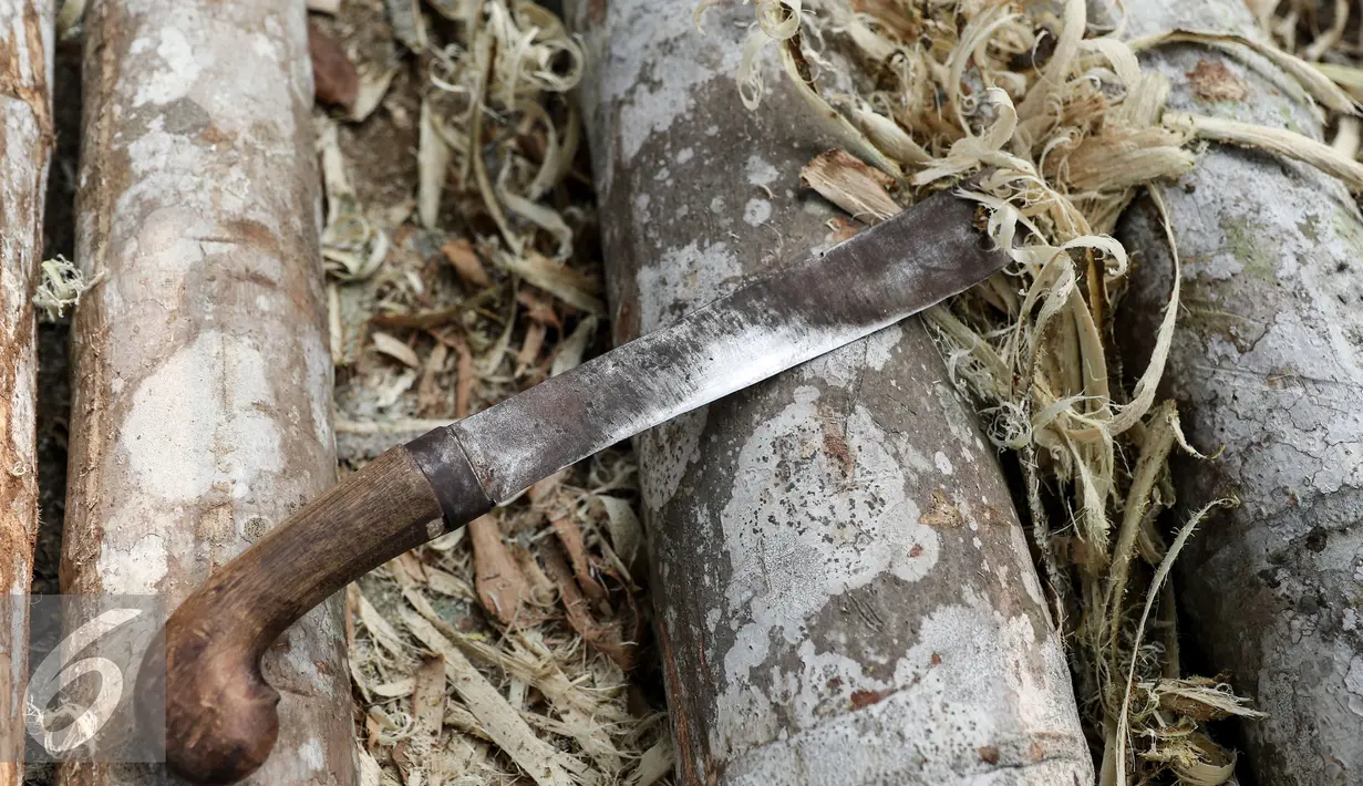 Sebuah golok yang dipakai pengrajin untuk membuat batang Panjat Pinang Manggarai, Jakarta, Senin (10/8/2015). Jelang HUT Kemerdekaan RI  permintaan Pohon Pinang meningkat dengan nilai jual berkisar Rp 900 ribu- Rp 1 juta. (Liputan6.com/Yoppy Renato)