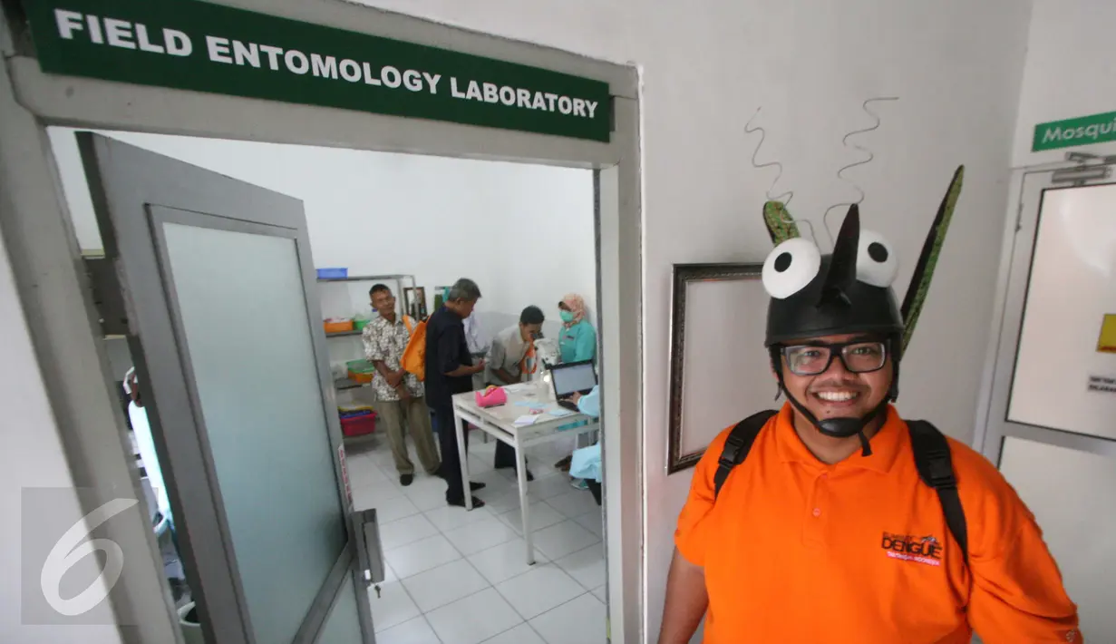 Seorang staf Eliminate Dengue Project (EDP) Yogyakarta mengenakan maskot Wolbachia Pengendali alami DBD di Laboratorium EDP Yogyakarta, (16/6). Nyamuk pengendali alami DBD akan di lepasliarkan di daerah yang menjadi endemi demam berdarah. (Boy Harjanto)