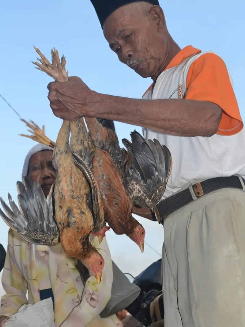 Seorang kakek menjual ayam di Pasar Cinangsi, Cilacap, Jawa Tengah. (Foto: Liputan6.com/Muhamad Ridlo)
