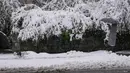 Di Kroasia dan Montenegro, angin kencang menghentikan sebagian besar jalur feri di sepanjang garis pantai Laut Adriatik dan menunda penerbangan dari ibukota Montenegro, Podgorica, ke Beograd. (AP Photo/Darko Vojinovic)