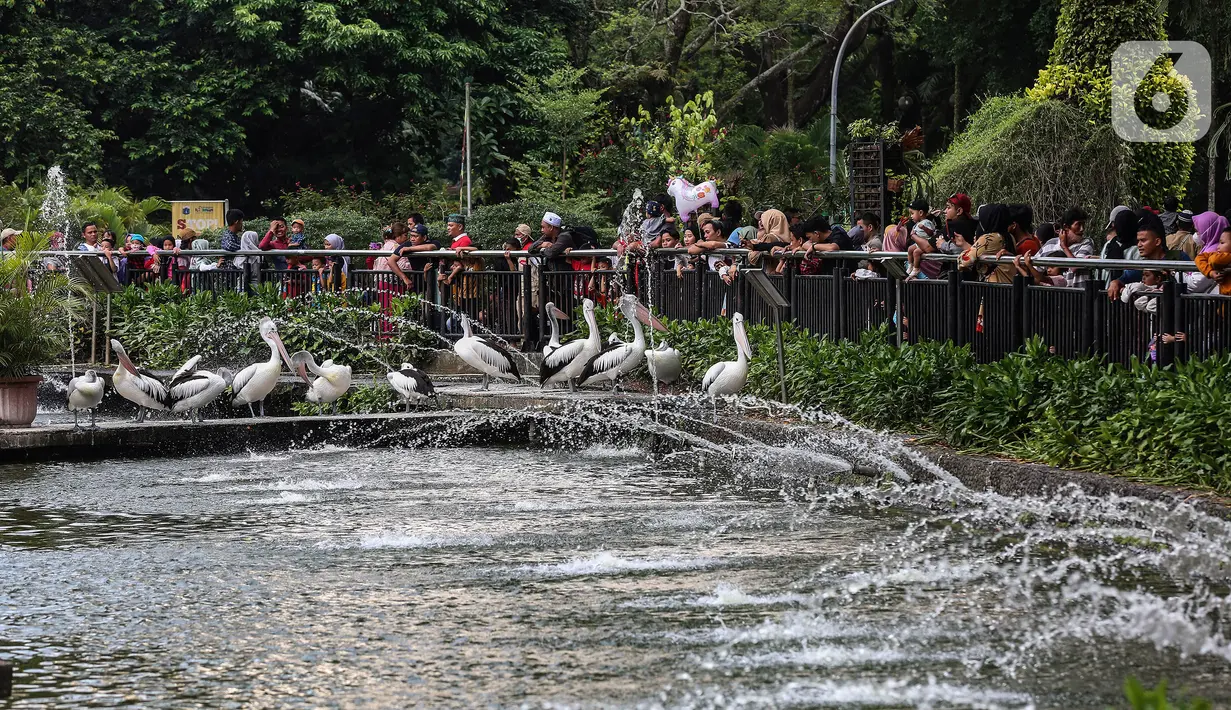 Memanfaatkan libur Idul Fitri 1444 H, Puluhan ribu masyarakat memadati Taman Margasatwa Ragunan pada H+1 Lebaran. (Liputan6.com/Johan Tallo)