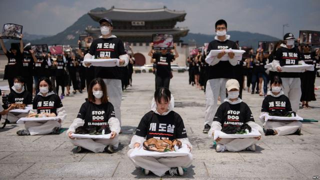 Ditutup Tempat Jagal Anjing Terbesar Di Korea Selatan Disulap Jadi Taman Global Liputan6 Com