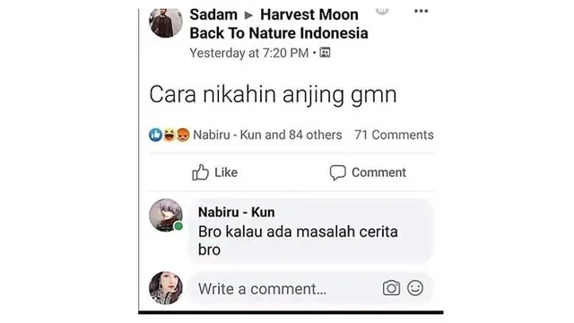 6 Pertanyaan Absurd di Status Facebook Ini Bikin Susah Tahan Tawa