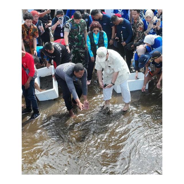 Prabowo dan Susi Pudjiastuti melepas tukik di Pantai Pangandaran. (Foto: Dok. Instagram @prabowo)
