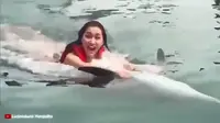 Lucinta Luna berenang bersama Lumba-lumba (Sumber: Instagram/davinaveronica)
