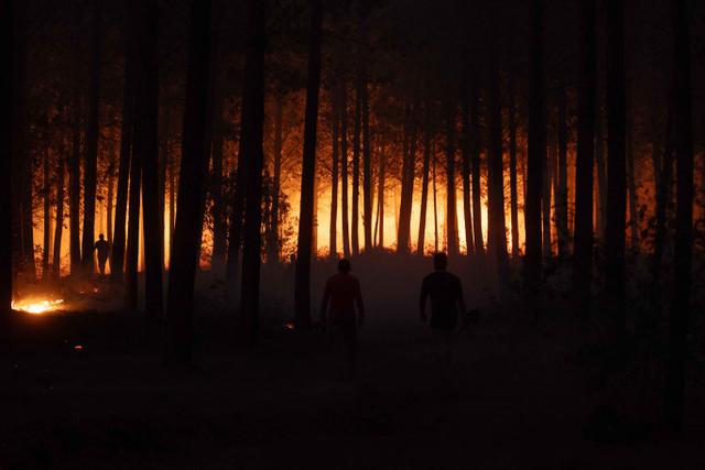 Kebakaran Hutan Chile, Otoritas Setempat Tetapkan Status Darurat