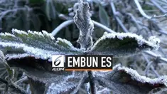 Jumlah wisatawan Probolinggo, Jawa Timur naik seiring munculnya embun es akibat turunnya suhu hingga -4 derajat.