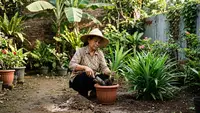 Cara Menanam Daun Pandan agar Tumbuh Banyak dan Rimbun di Rumah