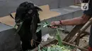 Penjual memberi makan hewan kurban yang dijual di Pasar Kambing, Tanah Abang, Jakarta, Selasa (13/7/2021). Pedagang di Pasar Kambing mengungkapkan penjualan hewan kurban tahun ini mengalami penurunan akibat PPKM Darurat. (Liputan6.com/Faizal Fanani)