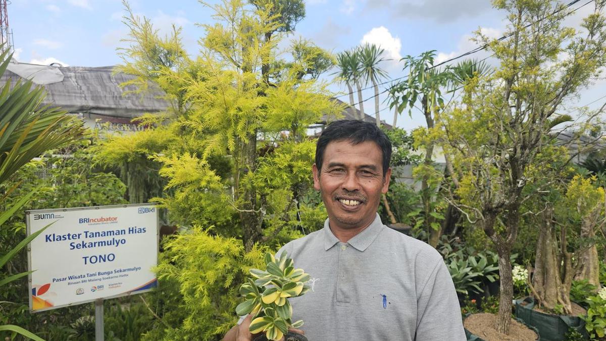 Berkat Program Klasterkuhidupku BRI, Pasar Tanaman Hias Sekar Mulyo Jadi Sumber Nafkah Warga
