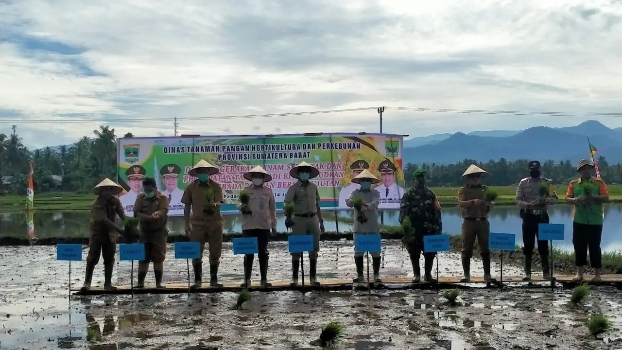 Kementan bersama Gubenur Sumbar, Irwan Prayitno melakukan gerakan percepatan tanam di Kabupaten Padang Pariaman, yang berlokasi di Kelompok Tani Rawang Lokan, Kecamatan Lubuk Alung. (Dok Kementan)