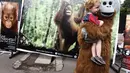 Dalam aksi ini sejumlah warga diajak befoto bersama dengan boneka orangutan, Jakarta, Minggu (30/11/2014).(Liputan6.com/Faizal Fanani) 
