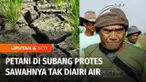 Sejumlah petani di kawasan Pusakanagara, Kabupaten Subang, Jawa Barat, memprotes perangkat desa, karena sudah 2 bulan belakangan, sawahnya tidak dialiri air. Akibatnya ratusan hektar sawah dipastikan gagal panen. Sementara di Kabupaten Madiun, ribuan...