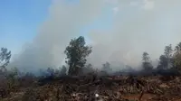 Kebakaran lahan di Kota Dumai mengepulkan asap tebal ke udara. (Liputan6.com/M Syukur)
