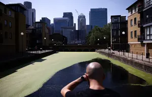 Ketika Sungai Thames Berubah Jadi Saluran Limbah Raksasa