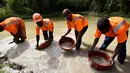 Model di Pantai Gading, Tiguidanke Camara (kedua kanan) saat menambang emas di hutan Guingouine, sebuah kota kecil di wilayah Logouale, Pantai Gading, Sabtu (25/2). (AFP Photo/ Sia Kambou)