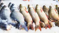 Ilustrasi ikan segar. (Photo by Tapan Kumar Choudhury on Unsplash)
