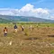 Lahan di atas HPL Badan Bank Tanah dimanfaatkan seluas 40.000 M2 (4 ha) untuk ditanami padi, jagung dan pembuatan demplot