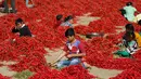 Anak-anak India mengupas tangkai cabai merah di sebuah lahan pertanian di Desa Shertha, dekat Gandhinagar, 25 Maret 2018. Ribuan cabai menciptakan karpet yang menakjubkan berwarna merah. (AP Photo/Ajit Solanki)