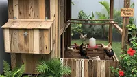9 Ide Kandang Ayam Estetik dari Kayu Bekas yang Tetap Kokoh dan Murah, Hemat untuk Pemula