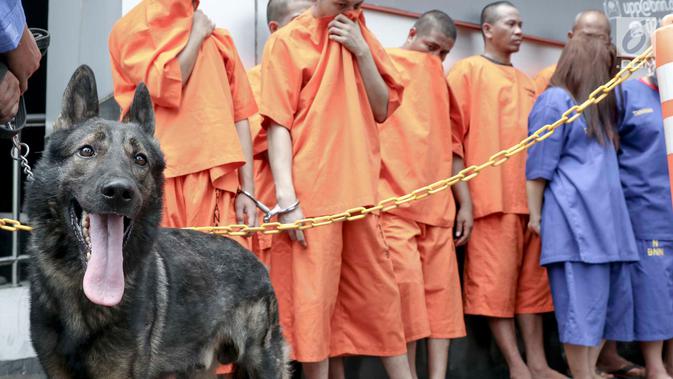 Seekor anjing K-9 berjaga dekat para tersangka saat rilis penyelundupan narkoba jaringan Malaysia di Gedung BNN, Jakarta, Selasa (16/10). BNN membongkar 4 kasus narkoba yang berbeda dengan mengamankan 17 tersangka. (Liputan6.com/Immanuel Antonius)
