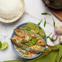 Ilustrasi ikan kembung kuah santan | copyright freepik.com/jcomp