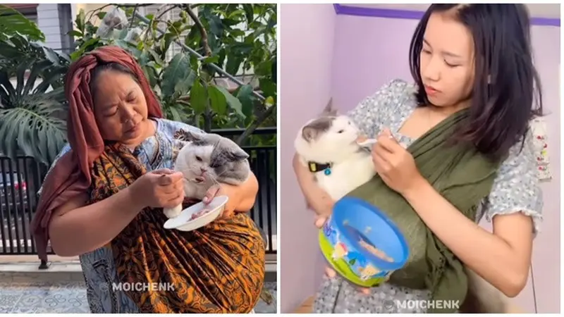 6 Potret Kucing Makan Disuapi Seperti Manusia Ini Kocak, Manja Banget