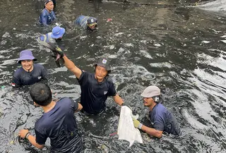 operasi penangkapan ikan sapu-sapu di Jakarta Utara. (Liputan6.com/Winda Nelfira)