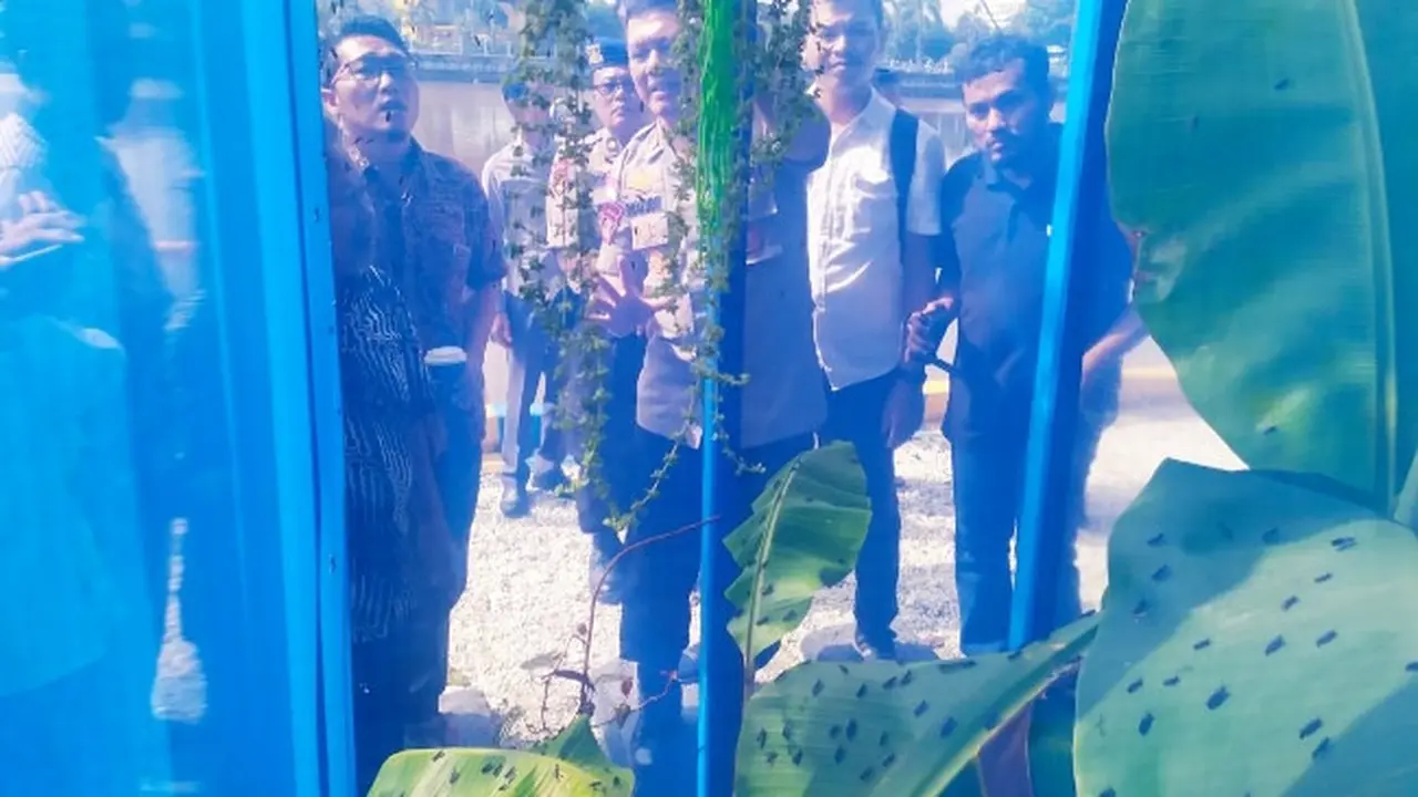 Budidaya Maggot BSF yang dibina Direktorat Polisi Air Polda Riau untuk membantu kemudahan pakan ikan bagi nelayan di Pekanbaru.