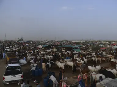 Orang-orang memadati pasar ternak menjelang perayaan Idul Adha di kota pelabuhan Karachi, Pakistan (1/7/2022). Idul Adha merupakan salah satu hari raya umat Islam di dunia yang identik dengan penyembelihan hewan kurban bagi yang mampu. (AFP/Asif Hassan)