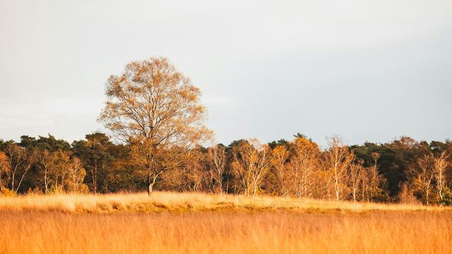 De Hoge Veluwe National Park