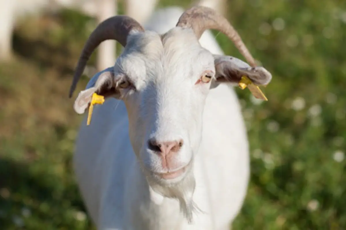 copyright by Thinkstock.com