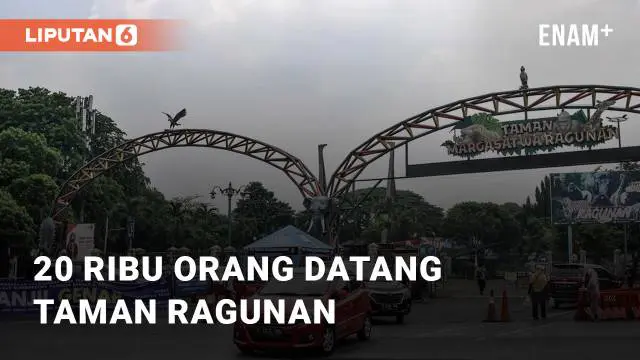 Menurut Kepala Humas Ragunan, Bambang Wahyudi, terjadi peningkatan pengunjung. Peningkatan tersebut terjadi selama libur sekolah dan cuti bersama Idul Adha 1444 H