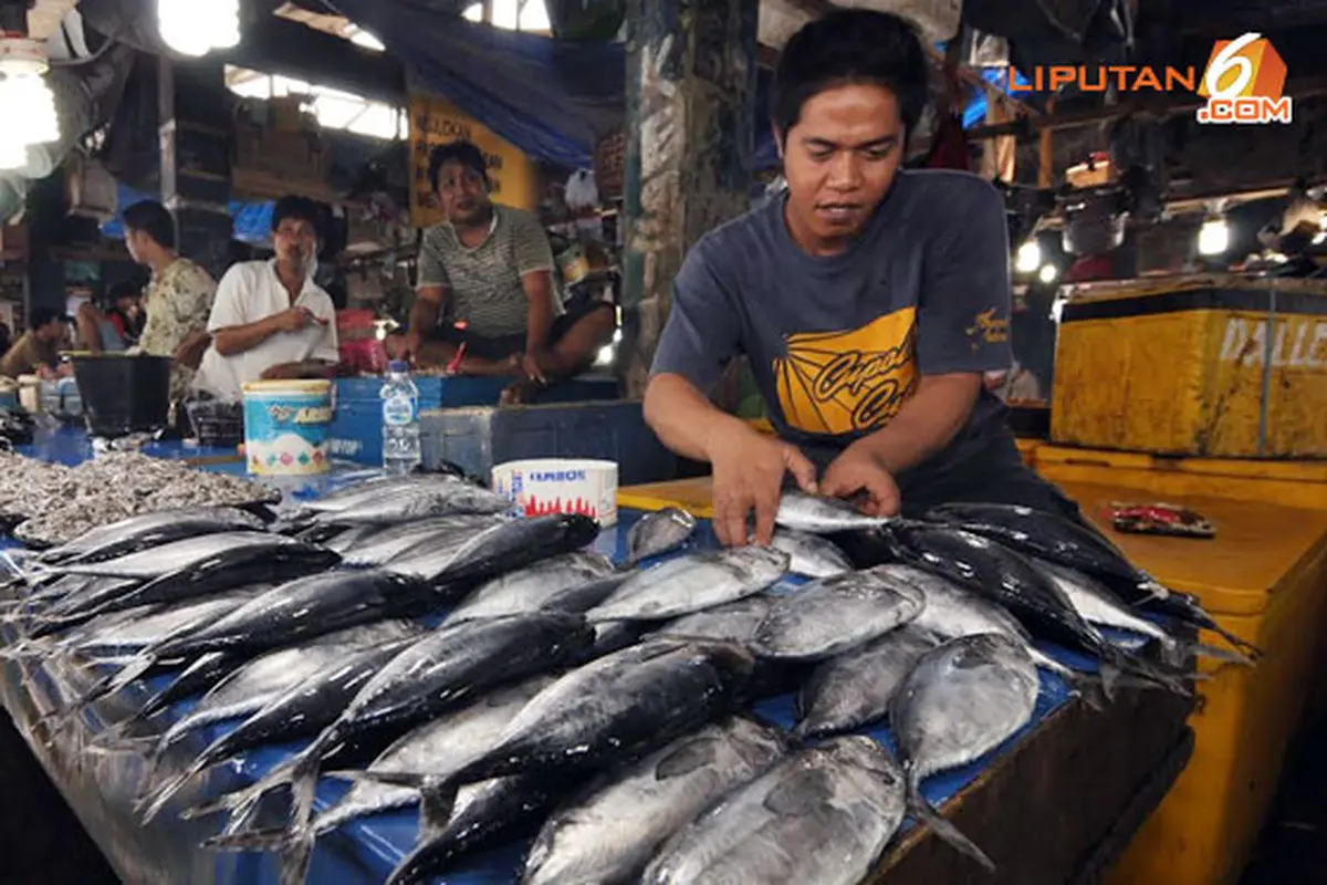 harga-ikan-palu-140122c.jpg