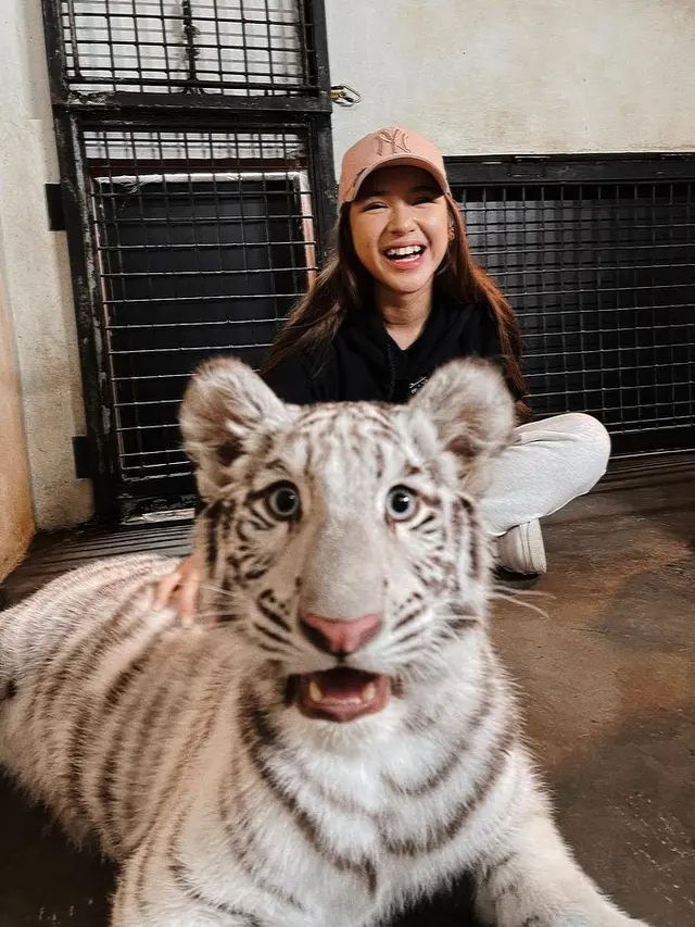 Tiara Andini bersama bayi harimau Selena. (Foto: Instagram/tiaraandini)