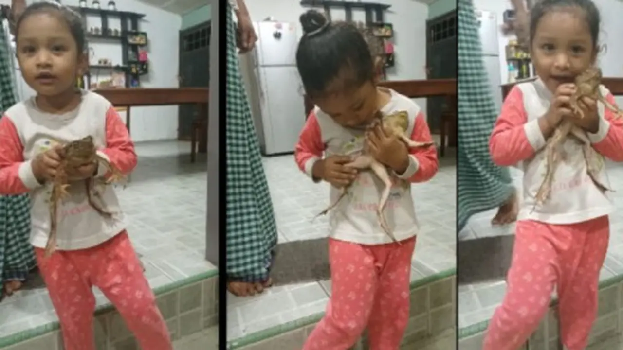 Suka Hewan Tak Biasa, Bocah Ini Hobi Pelihara Katak Sampai Dianggap Adik