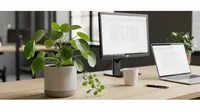 13 Tanaman Feng Shui Pembawa Rezeki di Kantor, Diyakini Menarik Energi Positif dan Kelancaran Usaha