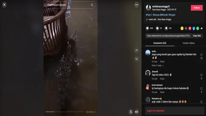 <p>Gambar tangkapan layar video dari akun TikTok @setabayuangga1.</p>
