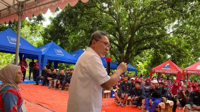 Menteri Perdagangan atau Mendag Zulkifli Hasan (Zulhas), Kamis (13/10/2022), melakukan panen raya perkebunan mangga dan melepas ekspor perdana mangga Indramayu mendunia.