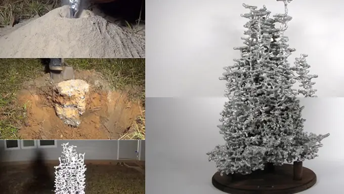 (c) huffingtonpost.com