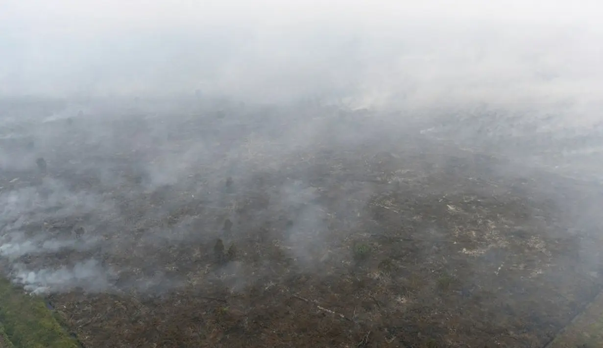 Pemandangan lahan yang terbakar dari atas helikopter di Pelalawan, Provinsi Riau, Kamis (17/9/2015). Asap dari kebakaran hutan ini mengakibatkan aktivitas warga Riau dan sekitarnya terganggu (AFP Photo/Adek Berry)