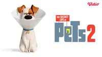 Sinopsis Film The Secret Life of Pets 2 di Vidio: Film Anak tentang Kehidupan Rahasia Para Hewan