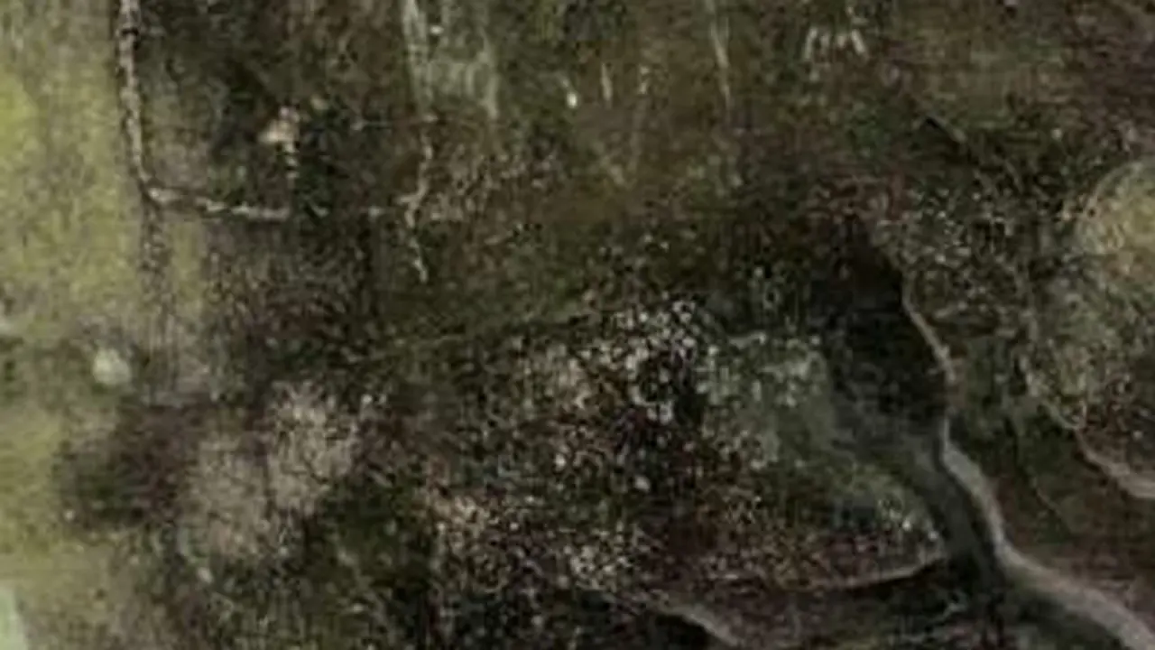 [Bintang] Gua Kontilola, Misteri di Bawah Tanah Papua
