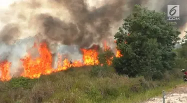 Puluhan hektar lahan gambut dan semak belukar disekitar komplek perkantoran pemerintah kota Palangka Raya, Kalimantan Tengah, terbakar hebat hingga merembet ke badan jalan.