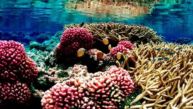 Foto: copyright wired.com