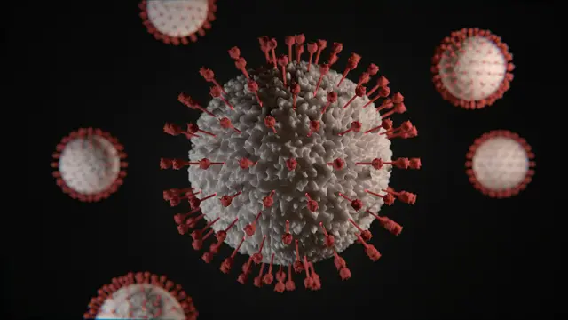 Virus