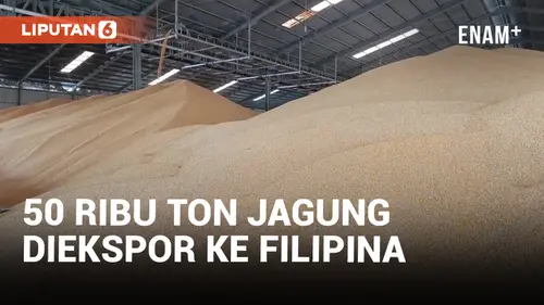 VIDEO: Kementerian Pertanian Ekspor 50 Ribu Ton Jagung ke Filipina